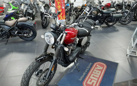 TRIUMPH  TRIUMPH  STREET  SCRAMBLER  2021 DAD78G