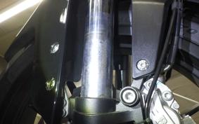BENELLI TNT249S