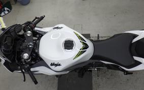 KAWASAKI NINJA ZX-6R A 2021 ZX636G