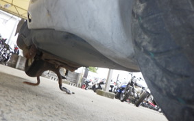 HONDA DIO GEN 2 AF27