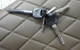 HONDA REBEL 250 S 2007 MC49