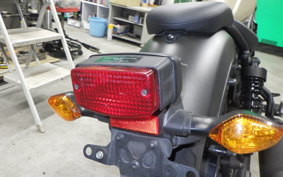 HONDA REBEL 250 2012 MC49
