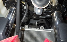 KAWASAKI NINJA 250 EX250P