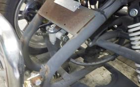 OTHER +UNREGISTERED MODEL by BDS TRIKE250 GW