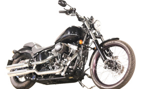 HARLEY FXS 2011 JP5
