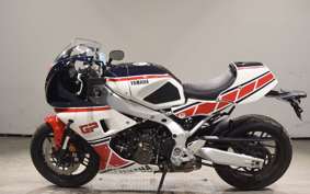 YAMAHA XSR900 GP 2024 RN96J