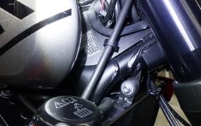 TRIUMPH TRIDENT 660 2024