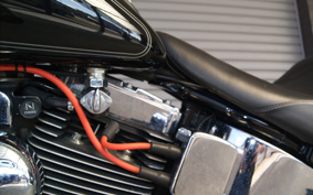 HARLEY FLSTC 2005 BJY