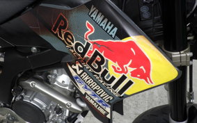 YAMAHA WR250X 2024 DG15J