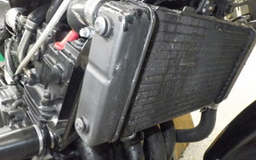 HONDA HORNET 250 MC31