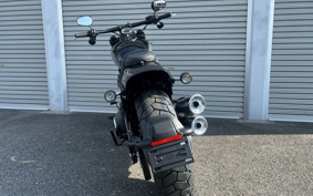 HARLEY FXFBS 2025 YLK