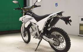 YAMAHA WR250R DG15J