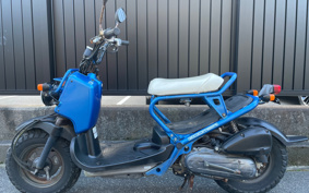 HONDA ZUMAR AF58