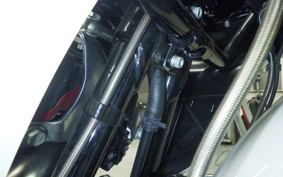 HARLEY FLTRXSE1920CVO 2020