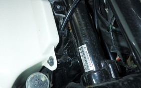 SUZUKI BIRDIE 50 E 2023 BA43A