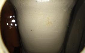 KAWASAKI W800 2015 EJ800A