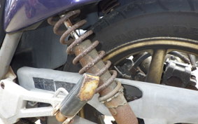 HONDA XELVIS MC25
