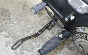 HARLEY XL883N 2015