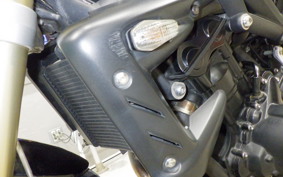 TRIUMPH STREET TRIPLE 2009