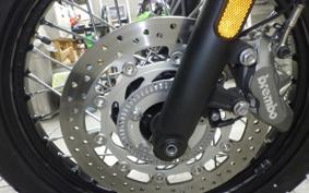 TRIUMPH SCRAMBLER 900 2025