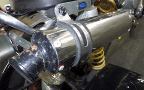 OTHER UNREGISTERED MODEL by BDS125 TRIKE 1999