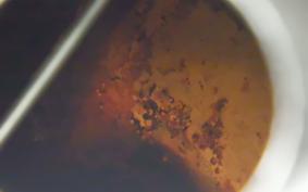 HARLEY FLSTF 1580 2013