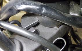 OTHER +UNREGISTERED MODEL by BDS