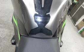 KAWASAKI NINJA ZX-6R A 2024 ZX636J