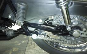 KAWASAKI Z1000 2024 Z1F