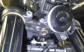 YAMAHA MT-25 A 2010 RG74J