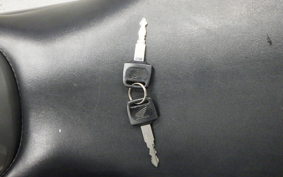 HONDA HORNET 250 MC31