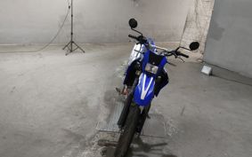 YAMAHA WR250X DG20