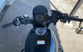 HONDA REBEL 1100 DCT 2021 SC83