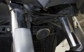 KAWASAKI Z250 2021 ER250C