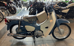 HONDA SUPER CUB50 AA09
