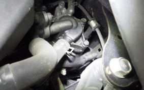 HONDA TACT Basket 2025 AF79