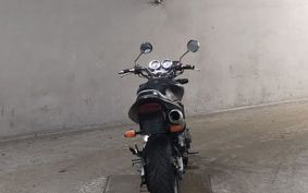 HONDA HORNET 250 MC31