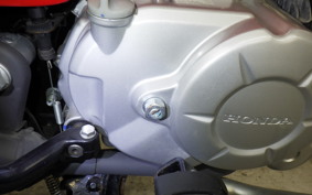 HONDA CROSS CUB 110 2024 JA45