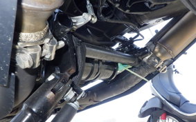 MOTO GUZZI V7 STONE 2025