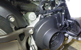 HONDA BENLY 50 2021 AA03