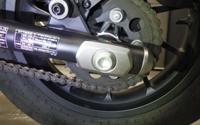 HONDA REBEL 250 S 2007 MC49