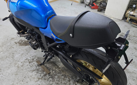 YAMAHA XSR900 2023 RN80J