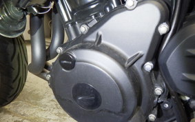 KAWASAKI Z250 Gen.2 2023 EX250Y