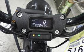 HARLEY FXBB1750 2019