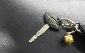 SUZUKI INTRUDER 400 Classic 2008 VK54A