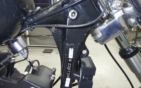 OTHER +UNREGISTERED MODEL by BDS1000 2025