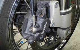 DUCATI GT1000 2007