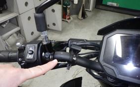 KAWASAKI Z900 Gen.2 2020 ZR900B