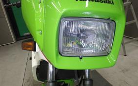 KAWASAKI KR250 2025 KR250A