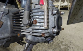 HONDA GORILLA 2021 Z50J